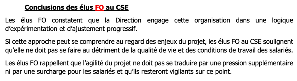 AVIS du CSE (et des élus FO) sur l’évolution de l’organisation de la DAI